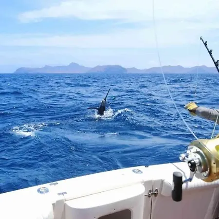 度假居 El Pisito La Dolce *