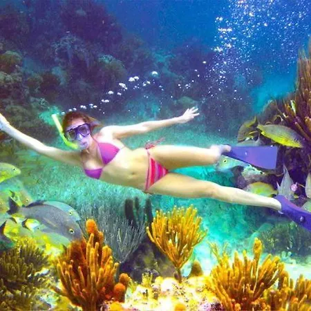 El Pisito La Dolce 度假居 *