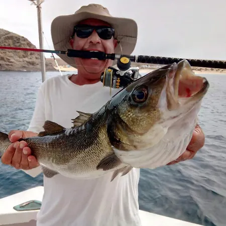 El Pisito La Dolce 度假居