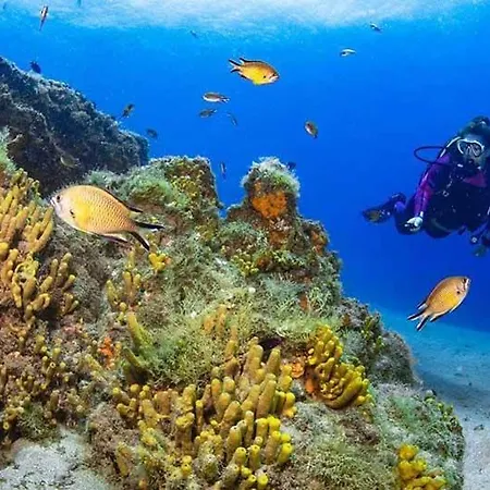 El Pisito La Dolce 度假居 *