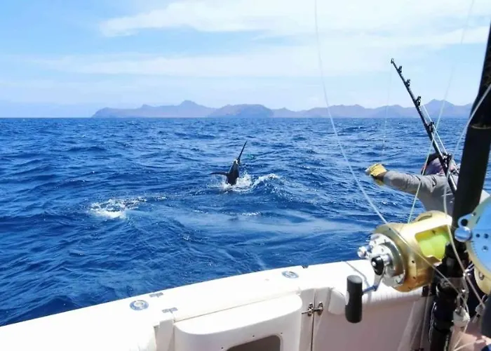 Holiday home El Pisito La Dolce *