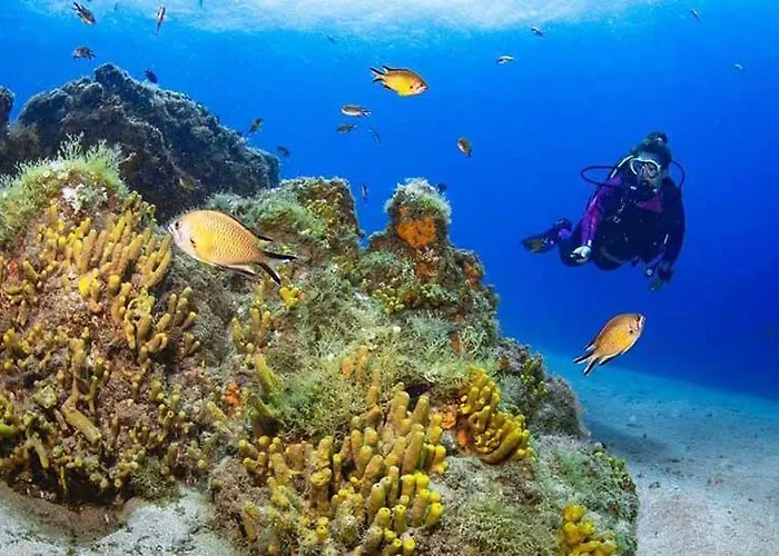 El Pisito La Dolce Holiday home *